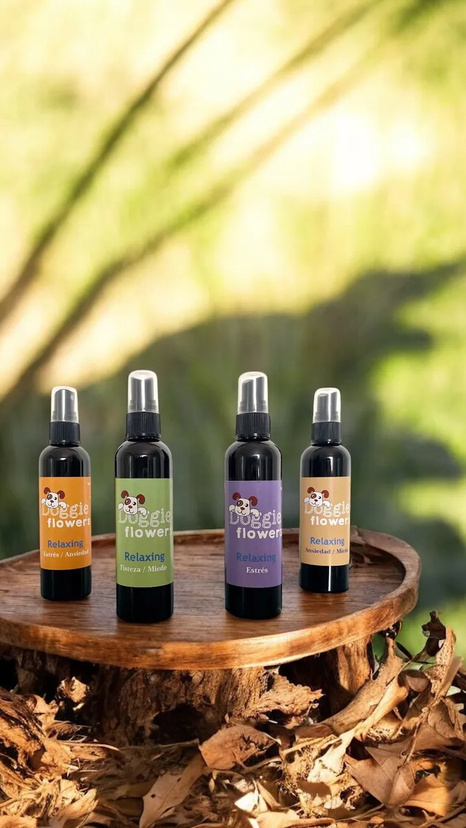 Aromaterapia para mascotas