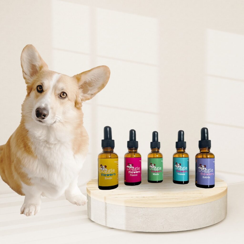 Perro pequeño con flores de bach