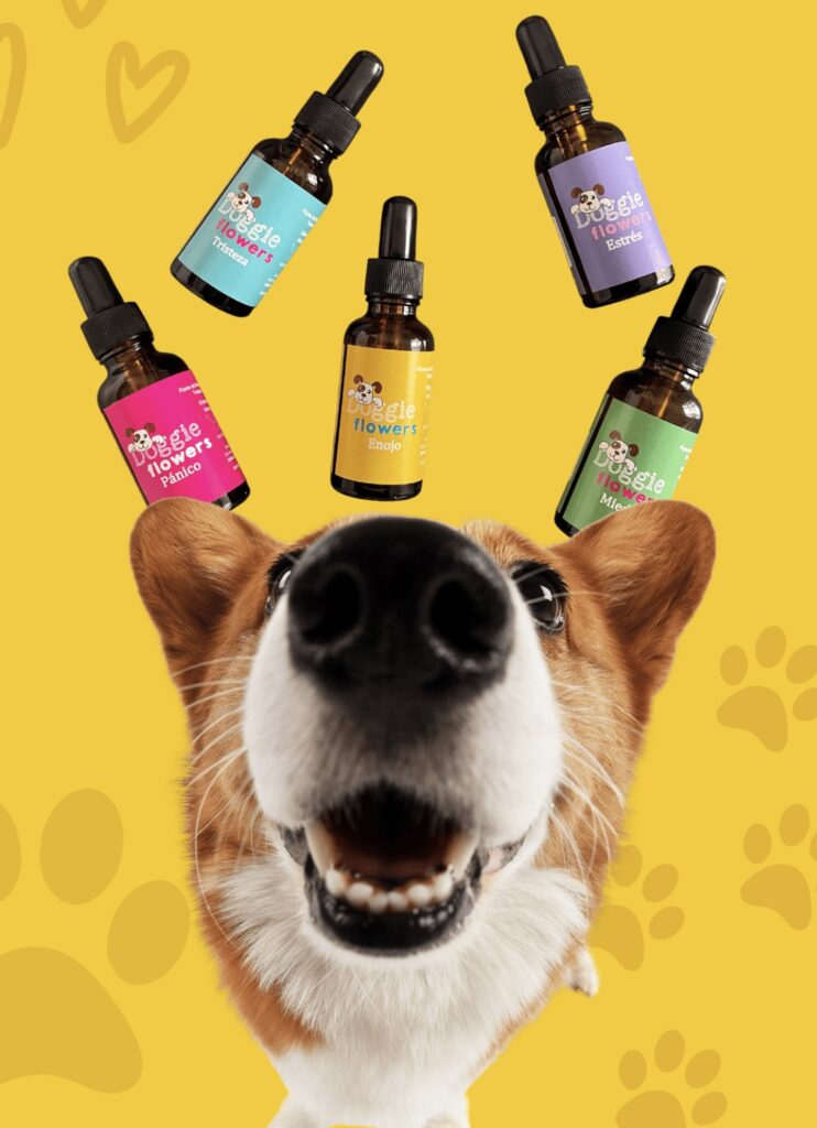 Perro feliz flores de Bach